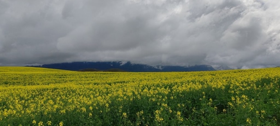 0 Bedroom Property for Sale in Caledon Rural Western Cape